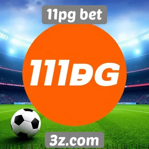 Características principais do 11pg bet